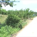 녹전1동 이미지