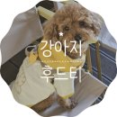빱쓸