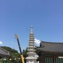 천호사 네이버블로그