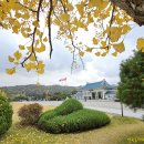 국립서울현충원 이미지