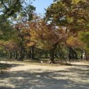 계림마을 이미지