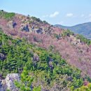 봄은 - 승학산 암릉 - 시약산 기슭 진달래 이미지