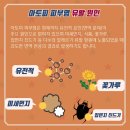 (주)제이에스케이 네이버블로그