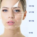 (주)비오 | 일본 레티놀 크림 추천 츠카비오 크림으로 주름 톤 탄력 한 번에 케어