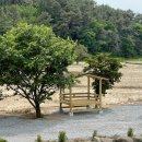 배울목장 이미지