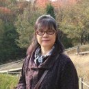 성주로244번길 Daum카페