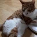 메이그루밍 이미지