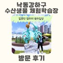 명지 아이와 가볼만한곳 [부산 낙동강하구 수산생물 체험학습장] 후기 : 무료 먹이주기 체험