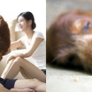 주인 이미지