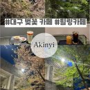벚꽃주택 | 대구 남구 영대병원역 카페 추천 벚꽃 명소지만 4계절이 아름다운 아킨니 내돈내산 후기
