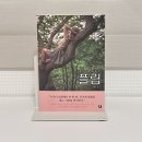 F9 | [플립] 재개봉 영화 후기 / 롯데시네마 월드타워 7관 F9, F10 좌석 시야 관람 후기