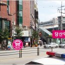 펫버스 이미지