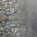 남촌도림동-17 이미지