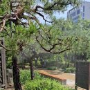 장안근린공원 이미지