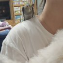 몽글몽글# 이미지