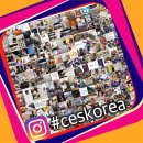 #CES KOREA '대한교정운동전문가협회'의 생생한 소식이 매일 인스타그램을 통해 업데이트 되고 있습니다 ^ㅂ^ 이미지