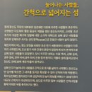 왜관 비소 제1호 | 장산도 왁사지 들판