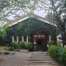 숲속의 섬 이미지