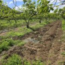 중원농장 이미지