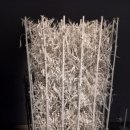 9월 24일 대구미술관 - 이강소 회고전 곡수지유:실험은 계속된다. 관람 후기 이미지