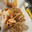 미수주유소 | 통영 주요소포장마차 야경 맛집 방문후기
