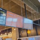 제주도애견동반서쪽여행 1탄 제주렌트카 우진해장국 애월애숙소 버거요 풍차해안도로 망고홀릭 제주고래
