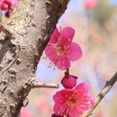 화원동산 주차장 이미지