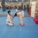 보텝스 태권도장 이미지