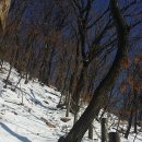 보물농장 이미지