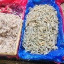 동부(수산물)시장 이미지