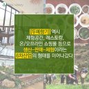 지랜드 이미지