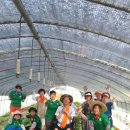 국제근육병장애인협회 이미지