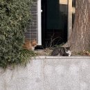 이춘봉인생치킨(부산개금점) | 서로 다른 마음은 어디로든 다시 흘러갈테니