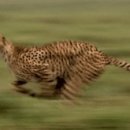 늘봄피부과의원 이미지