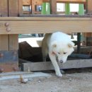 모래벌농장 이미지