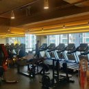 팀 터틀랫 해운대장산 이미지