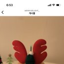 메리딜라이트