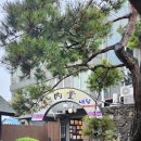홍주성 옆 공영주차장 네이버블로그