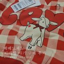 리틀램어린이집 | 베베드피노 이월상품 키즈 100사이즈 내돈내산 구매 후기