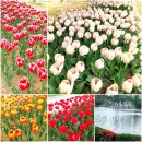 럭키오락실 이미지