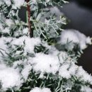 희망의아침 이미지