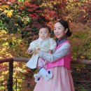 박경숙헤어 이미지