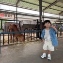 한율목장 이미지