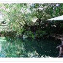 카오카오 이미지