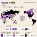 세계로여행주 이미지