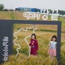 ㈜청보리 이미지