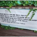 안면도가족펜션소나무별장 네이버블로그