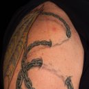 바이오메카 이미지