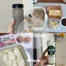 스위치온 다이어트 2주차 인바디 후기(체지방 -2.4kg)