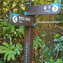 제주위미농업협동조합신례지점 | 올레 5코스 남원 – 쇠소깍 올레 약 13.5km 땡볕 아래에서 걷다.